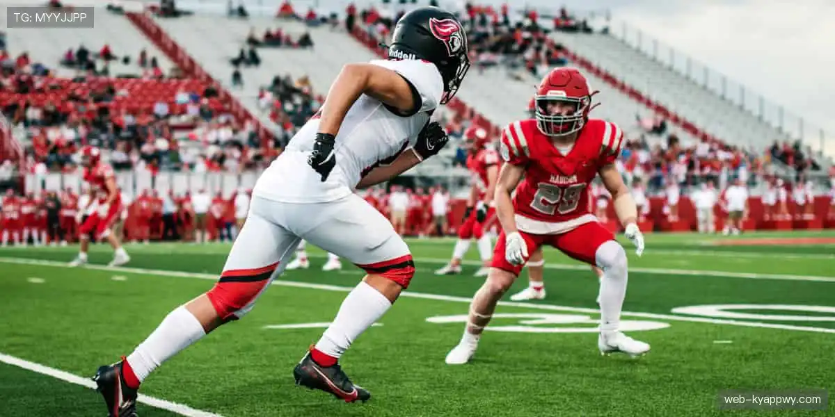 ⚽绿茵场的呐喊，在这里永不落幕！